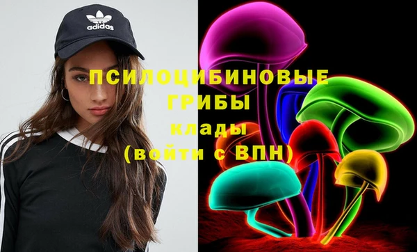 spice Армянск
